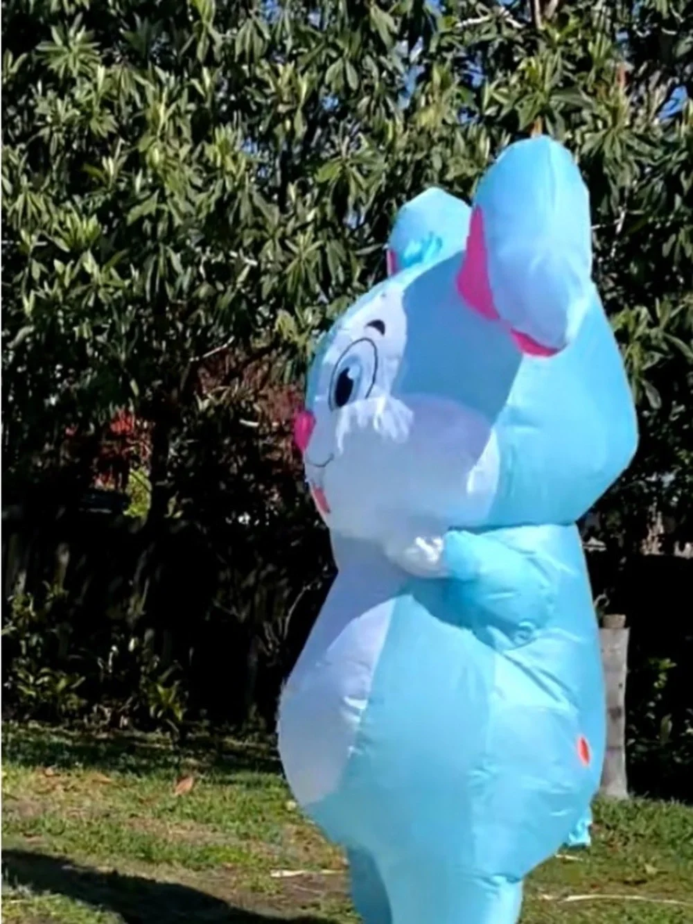 Inflatable blue bunny costume